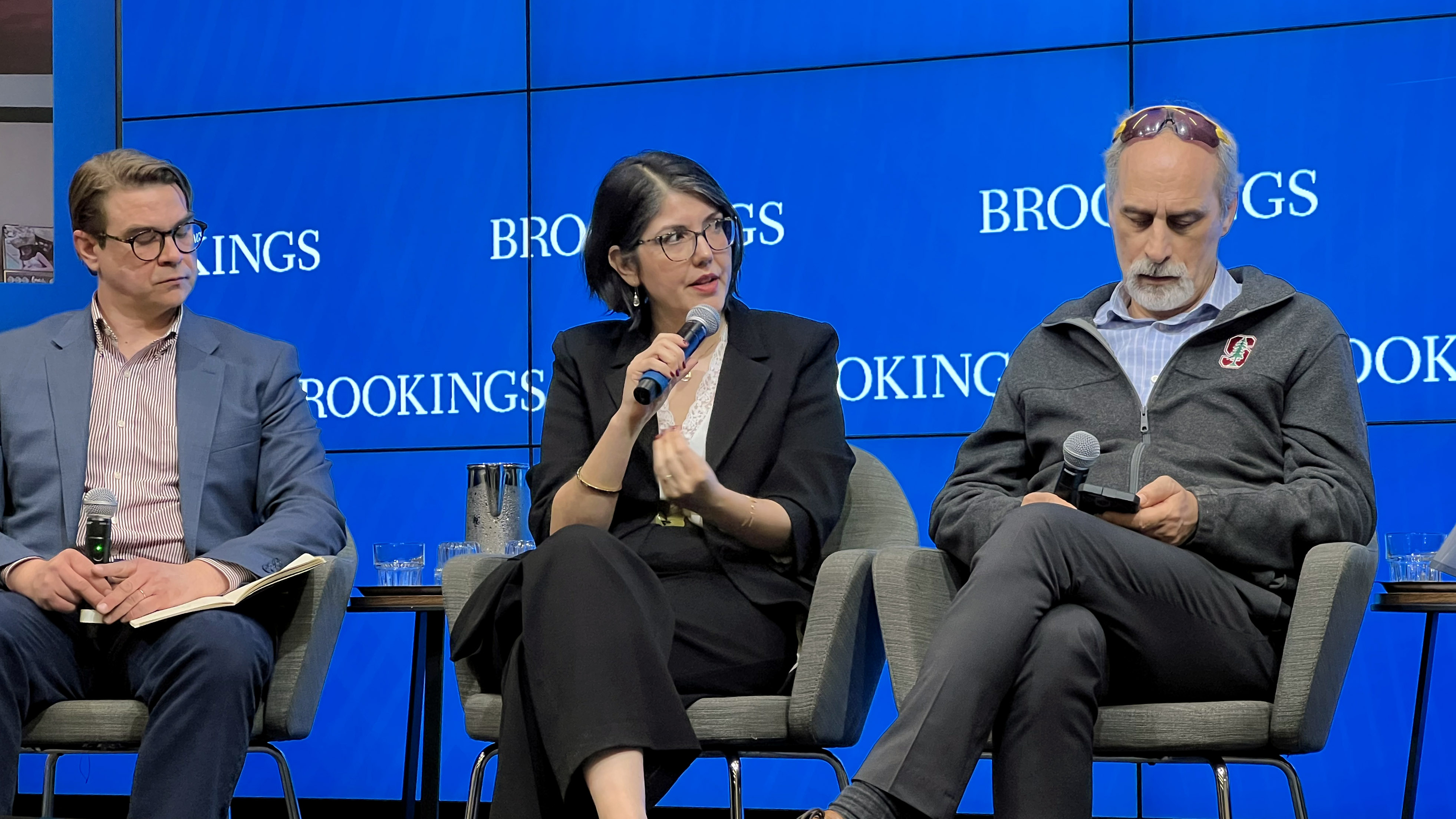 WDI Leader Diana Paez speaking at Brookings Panel on Trade, Tariff Impact